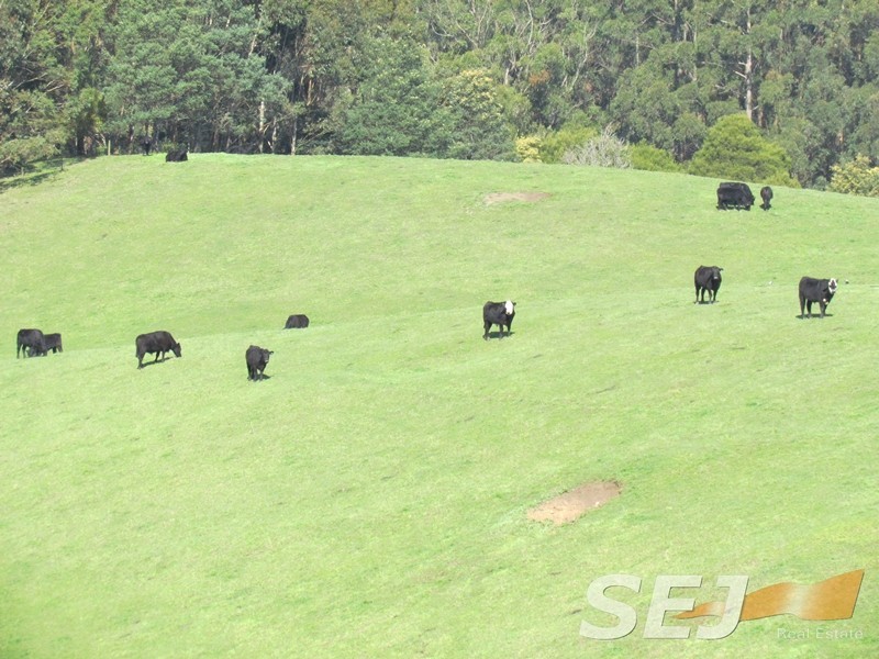 546 Yarragon South Rd, Yarragon South VIC 3823