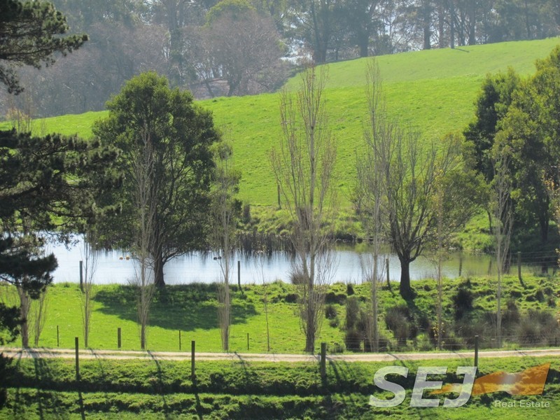 546 Yarragon South Rd, Yarragon South VIC 3823