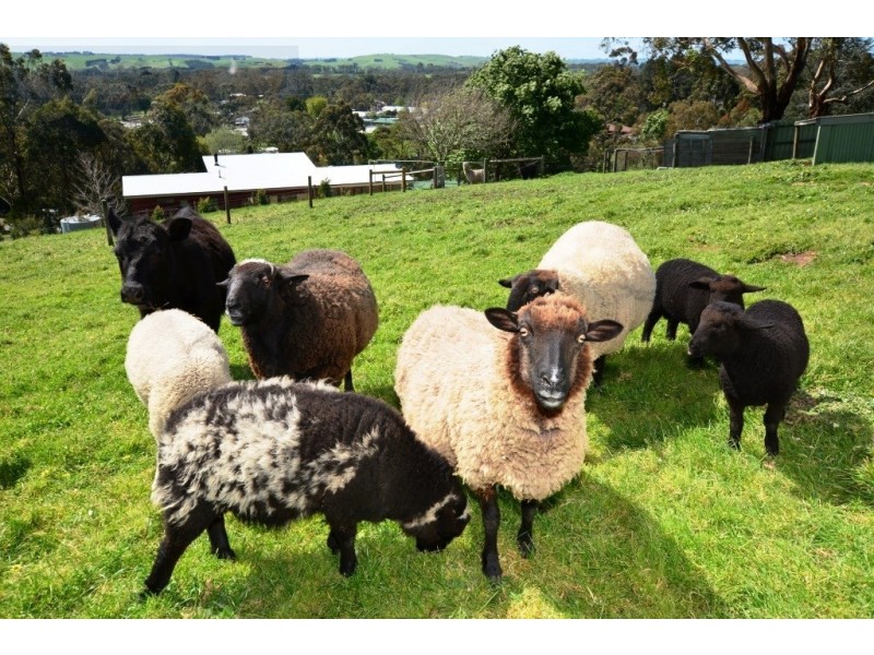 31 McKitterick Street, Meeniyan VIC 3956