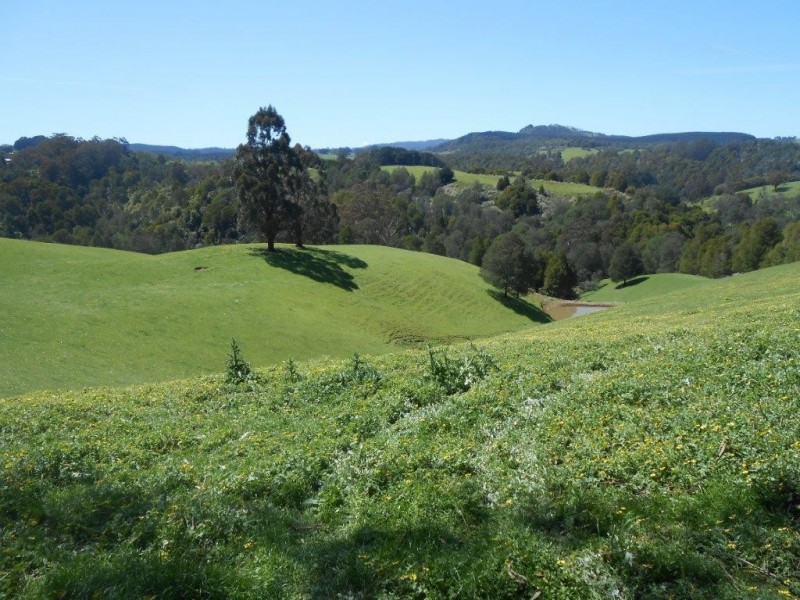 34 Hillcrest Road, Foster VIC 3960