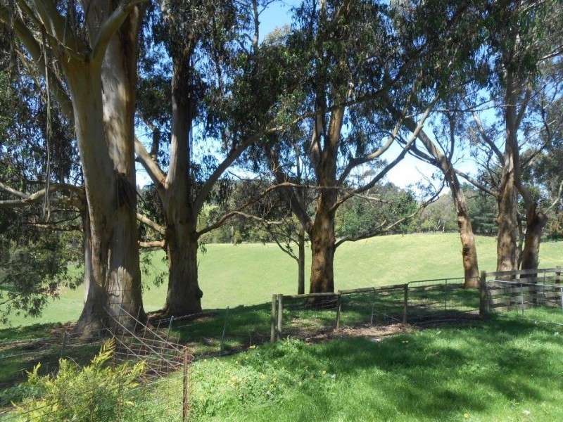 34 Hillcrest Road, Foster VIC 3960