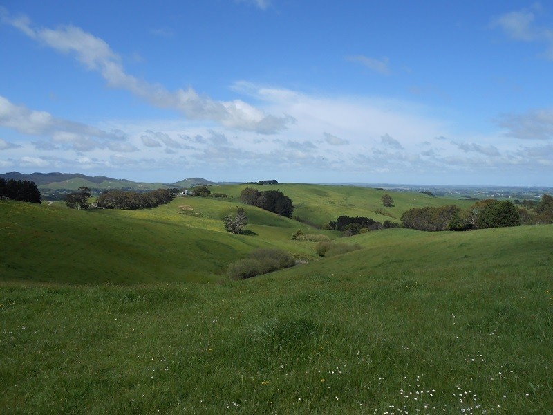 25 ARNUPS ROAD, Foster VIC 3960