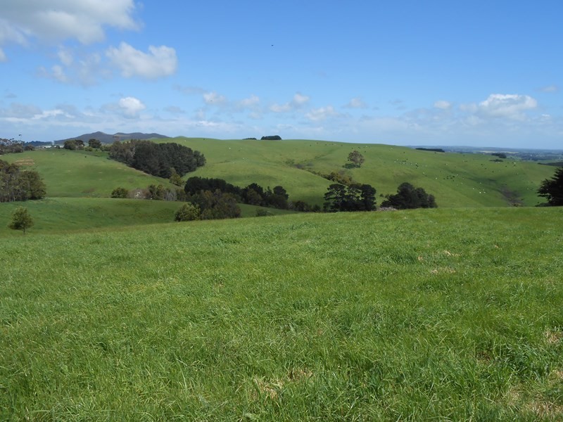 25 ARNUPS ROAD, Foster VIC 3960