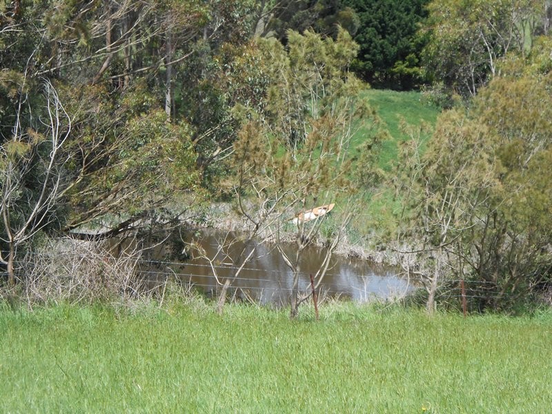 25 ARNUPS ROAD, Foster VIC 3960