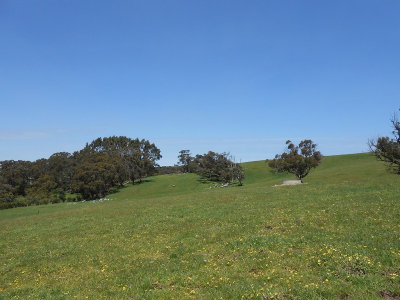 Lot 2 Harmon Road, Foster VIC 3960