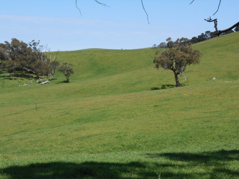 Lot 2 Harmon Road, Foster VIC 3960