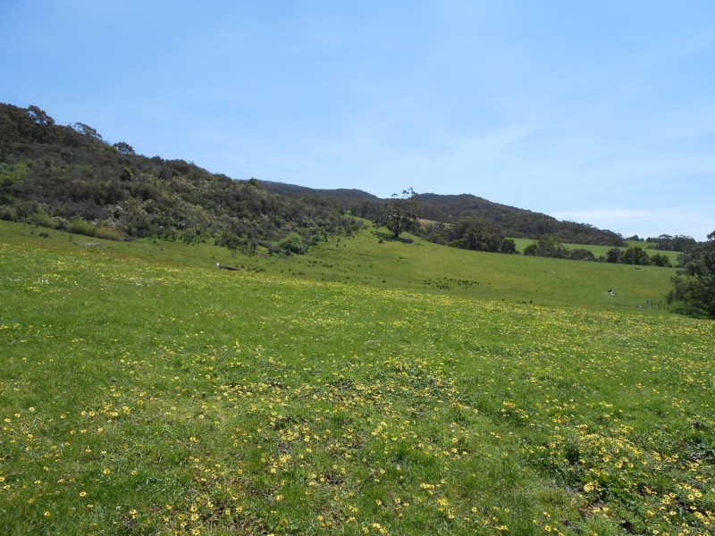 Lot 2 Harmon Road, Foster VIC 3960