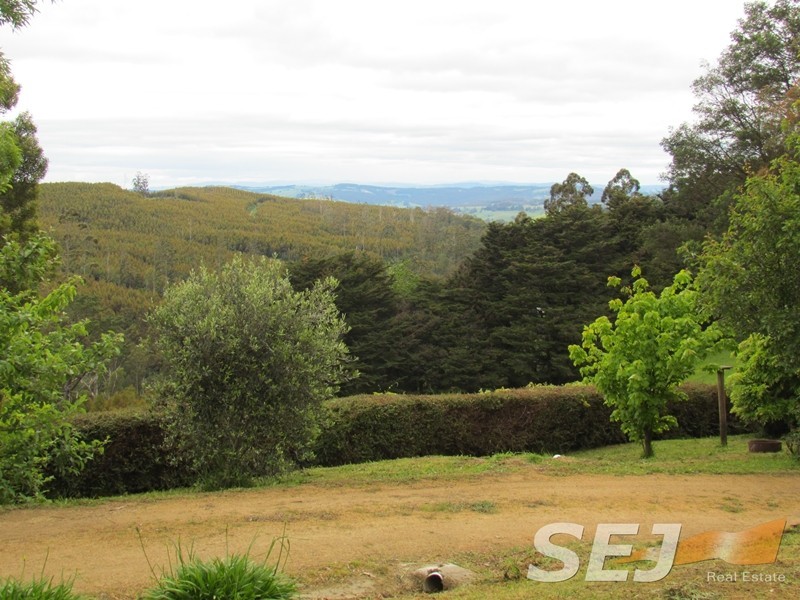 1675 Grand Ridge Road, Trida VIC 3953