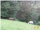 1675 Grand Ridge Road, Trida VIC 3953