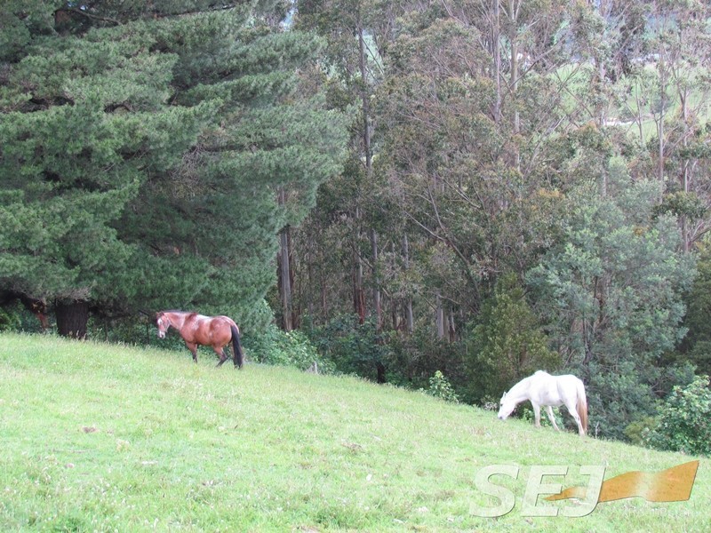1675 Grand Ridge Road, Trida VIC 3953