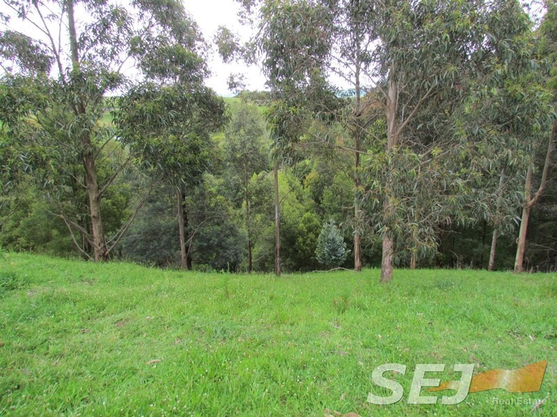 1675 Grand Ridge Road, Trida VIC 3953
