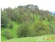 1675 Grand Ridge Road, Trida VIC 3953