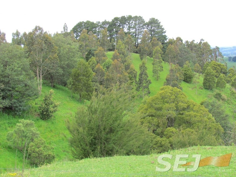 1675 Grand Ridge Road, Trida VIC 3953
