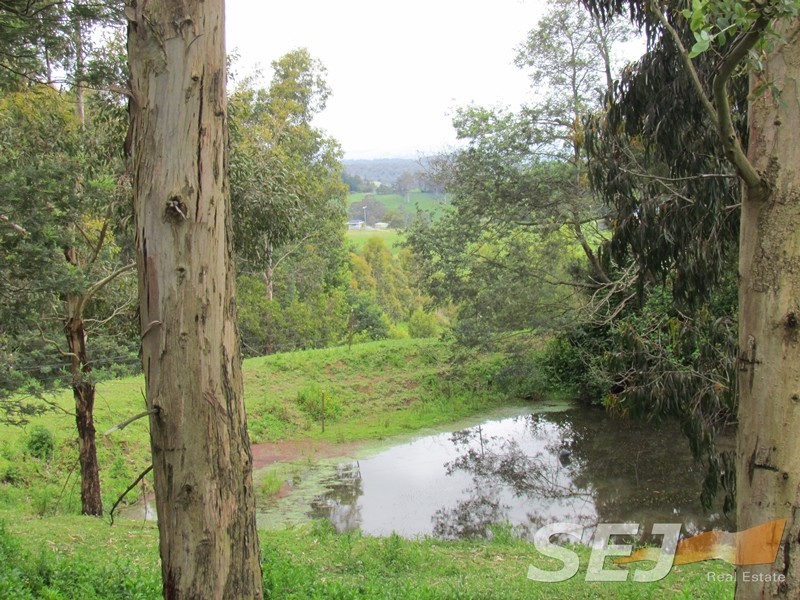 1675 Grand Ridge Road, Trida VIC 3953