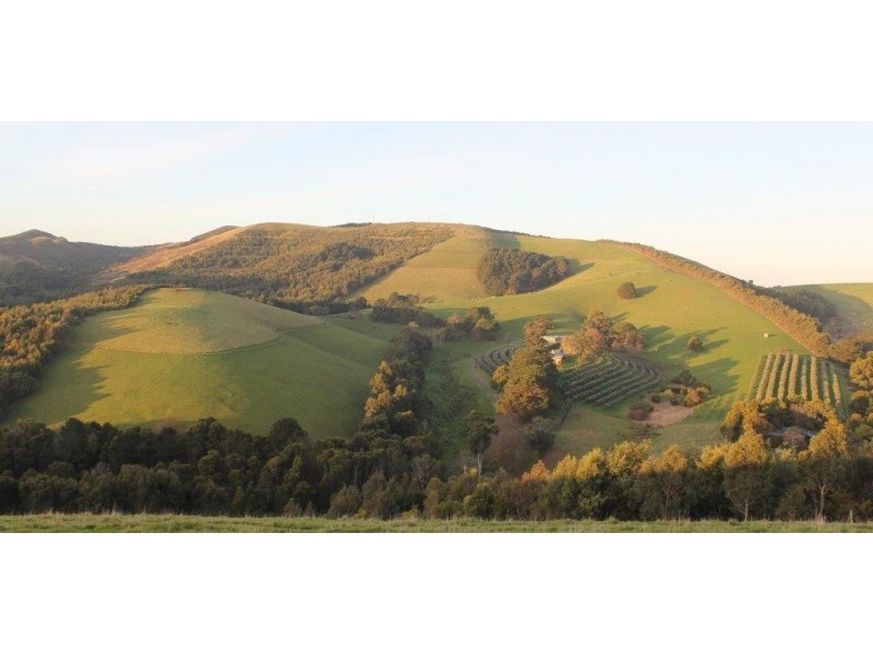 2295 Meeniyan-Promontory Road, Fish Creek VIC 3959