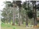 51 + 135 Sheffield Rd, Neerim South VIC 3831