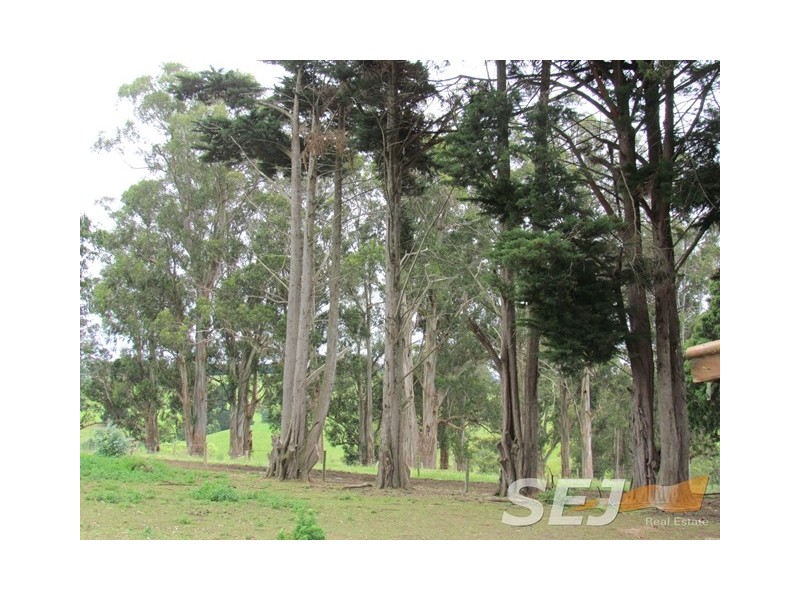 51 + 135 Sheffield Rd, Neerim South VIC 3831