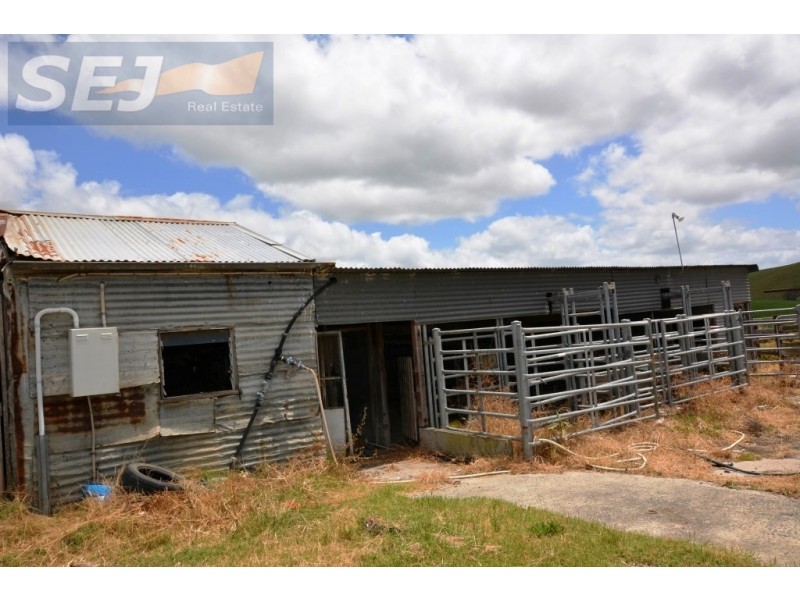 775 Wild Dog Valley Road, Mount Eccles VIC 3953