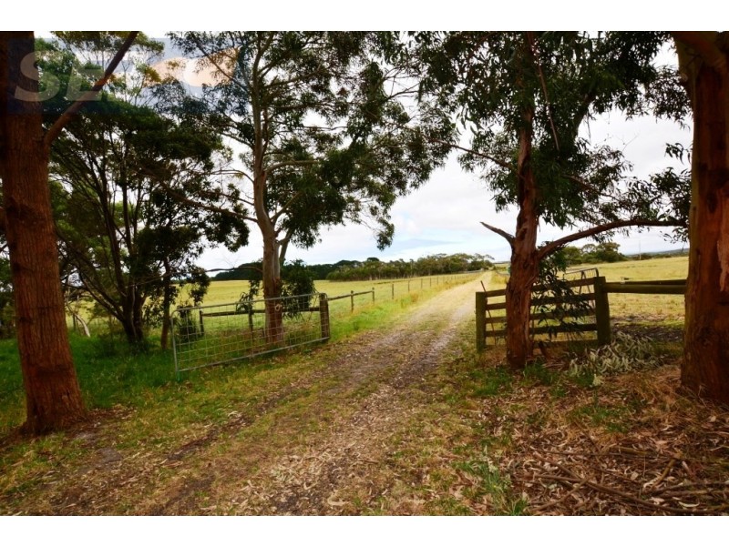1645 Buffalo – Waratah Rd, Walkerville VIC 3956