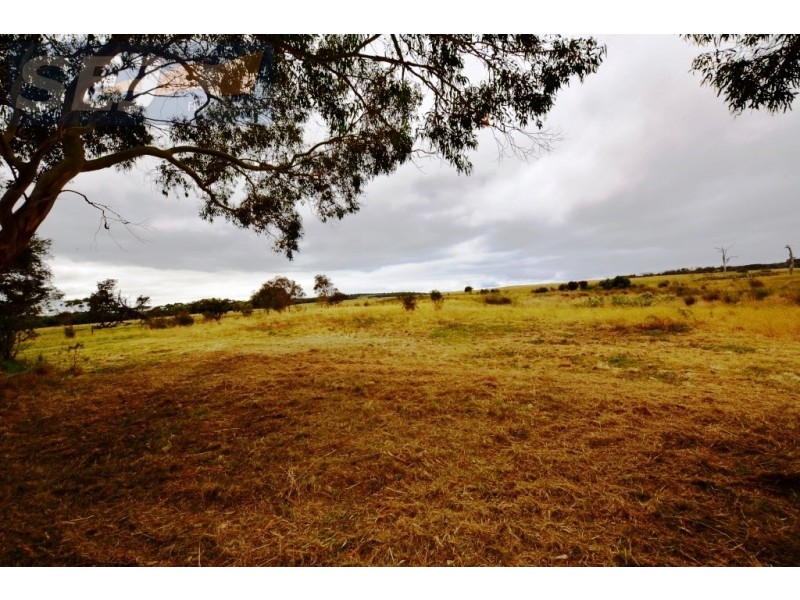 1645 Buffalo – Waratah Rd, Walkerville VIC 3956