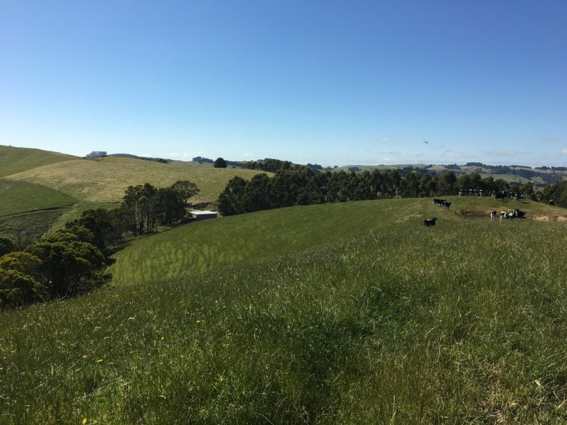 2 Peaches Road, Foster VIC 3960