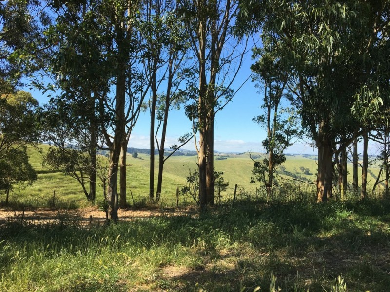 2 Peaches Road, Foster VIC 3960