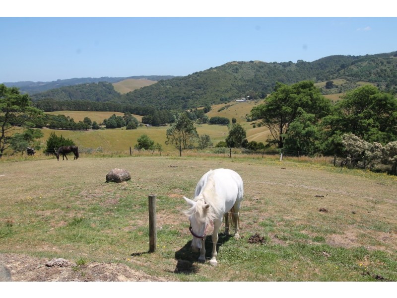 3 Tin Mine Road, Mount Best VIC 3960