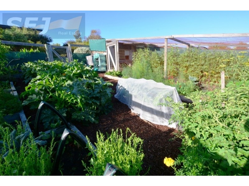 2855 Grand Ridge Road, Hallston VIC 3953