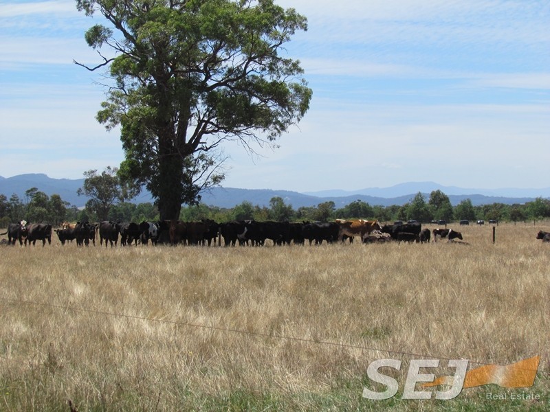 97 Evans Road, Bunyip VIC 3815