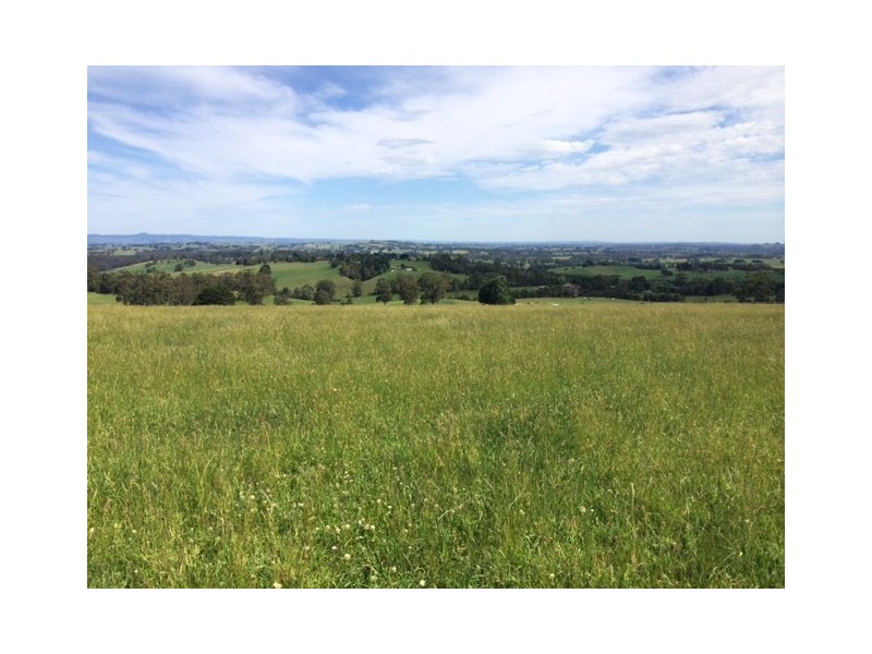 LOT 3 Jacksons Track, Jindivick VIC 3818