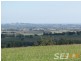 LOT 3 Jacksons Track, Jindivick VIC 3818
