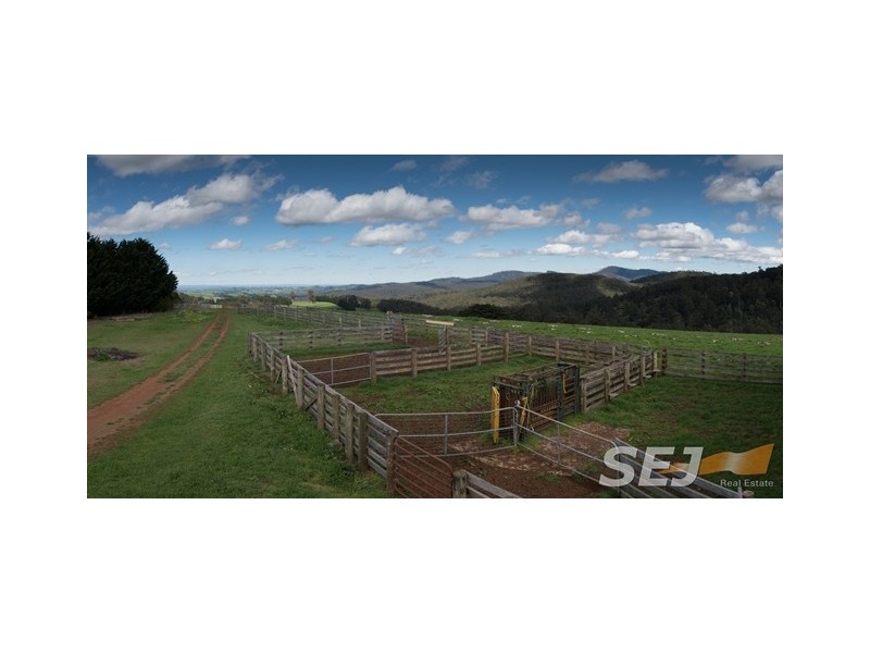 2785 Main Neerim Road, Neerim VIC 3831