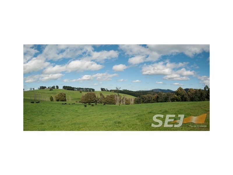 2785 Main Neerim Road, Neerim VIC 3831