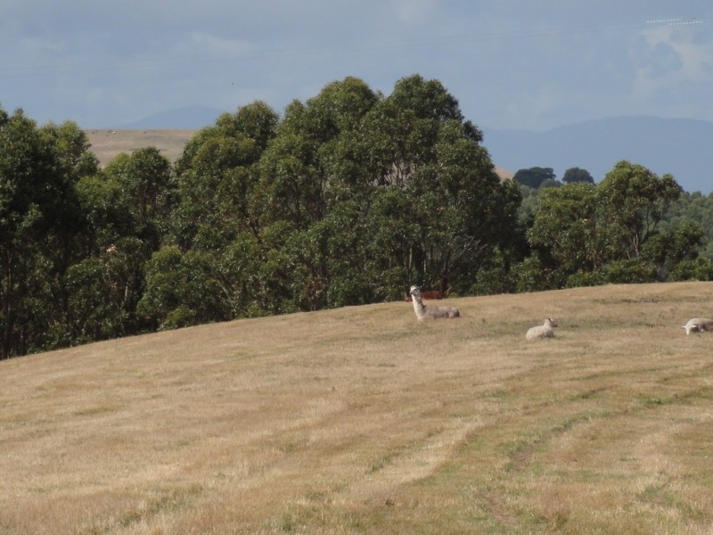 139 Toora Gunyah Rd, Toora VIC 3962