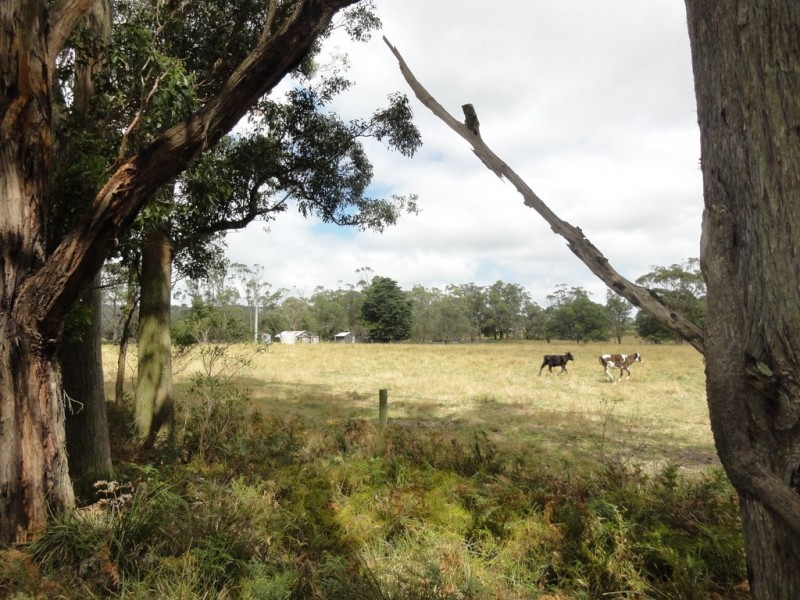 Binginwarri VIC 3966