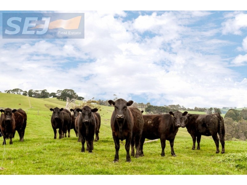 3765 Strzelecki Highway, Berrys Creek VIC 3953