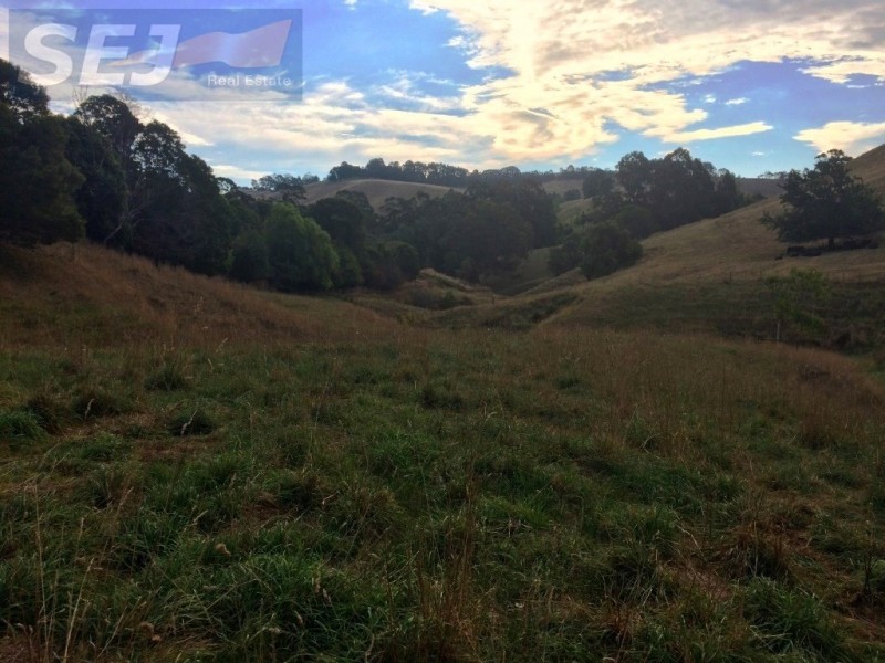 520A Berrys Creek Road, Mirboo North VIC 3871
