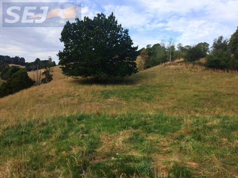 520A Berrys Creek Road, Mirboo North VIC 3871