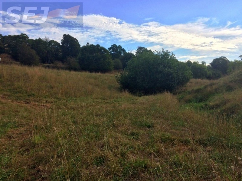 520A Berrys Creek Road, Mirboo North VIC 3871