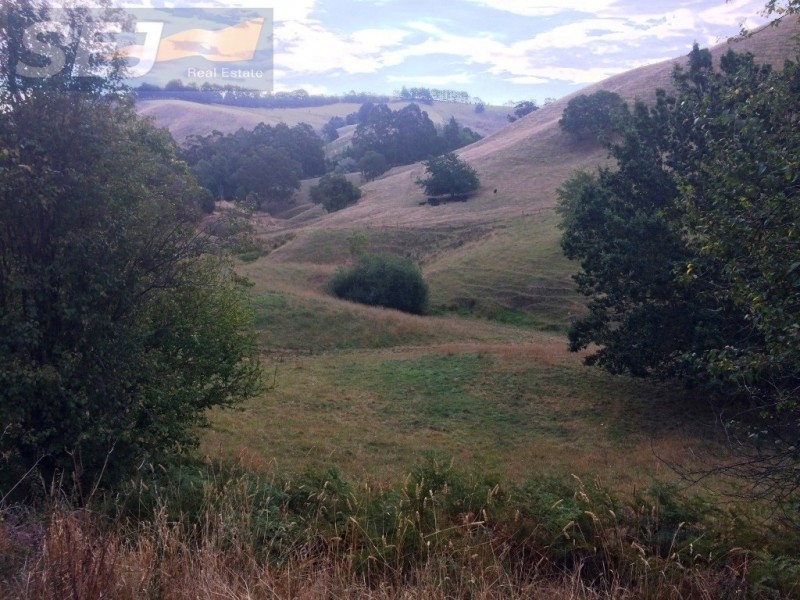 520A Berrys Creek Road, Mirboo North VIC 3871