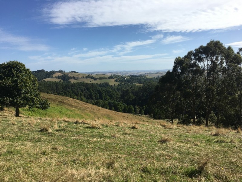 225 McCartins Rd, Foster VIC 3960