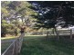 225 McCartins Rd, Foster VIC 3960