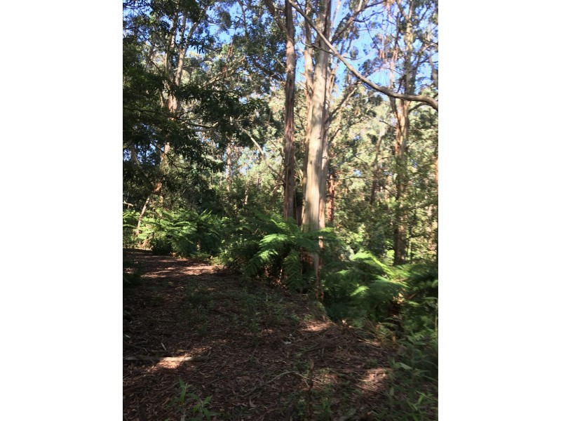 225 McCartins Rd, Foster VIC 3960