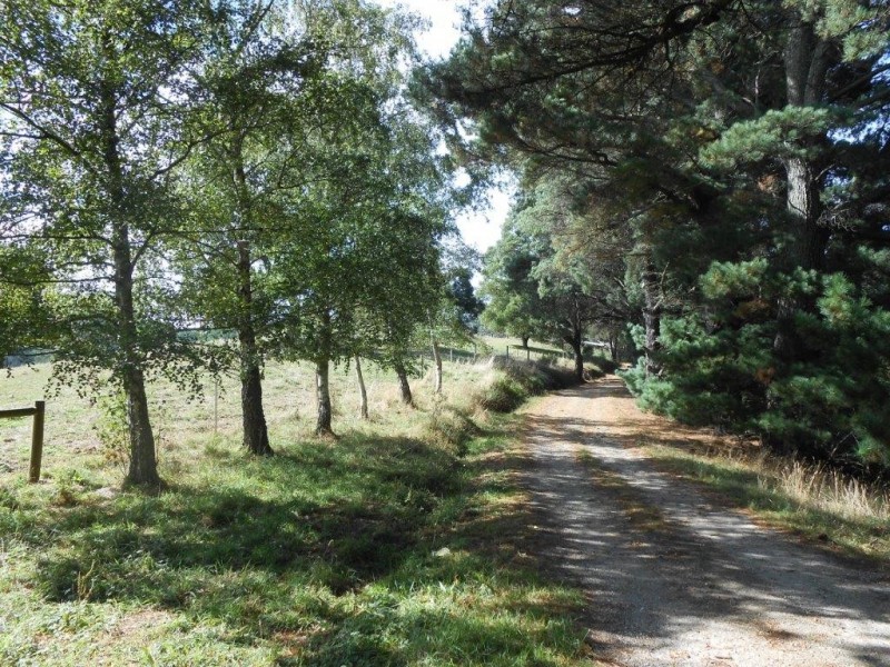225 McCartins Rd, Foster VIC 3960
