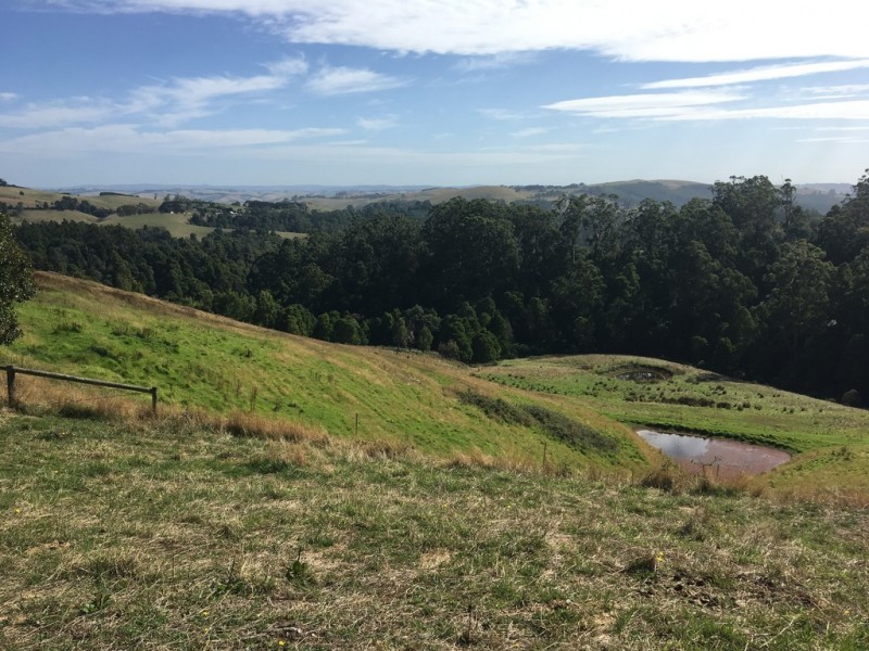 225 McCartins Rd, Foster VIC 3960