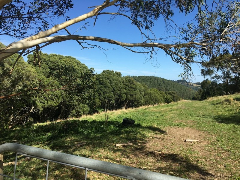 225 McCartins Rd, Foster VIC 3960