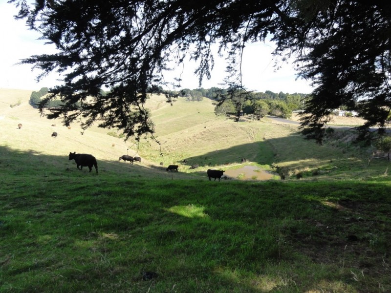 90 Foster-Mirboo Rd, Foster VIC 3960