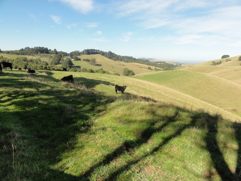 90 Foster-Mirboo Rd, Foster VIC 3960