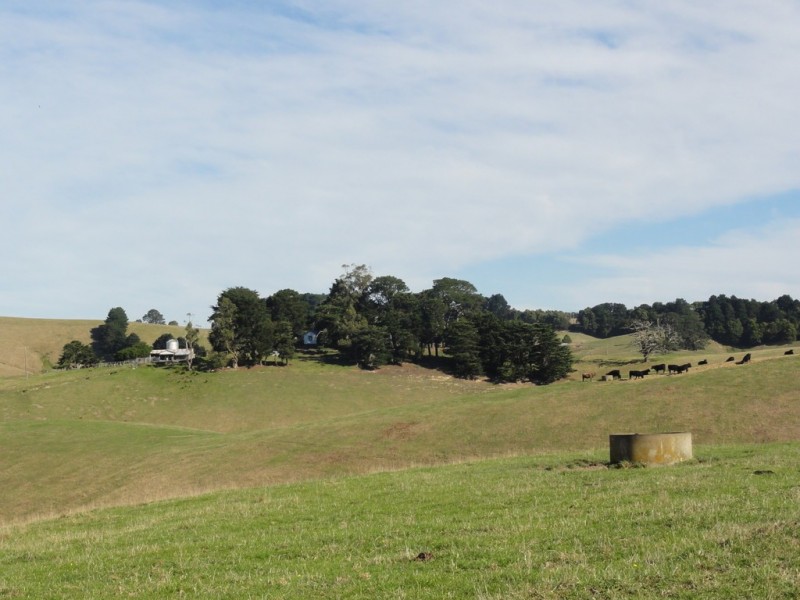 90 Foster-Mirboo Rd, Foster VIC 3960