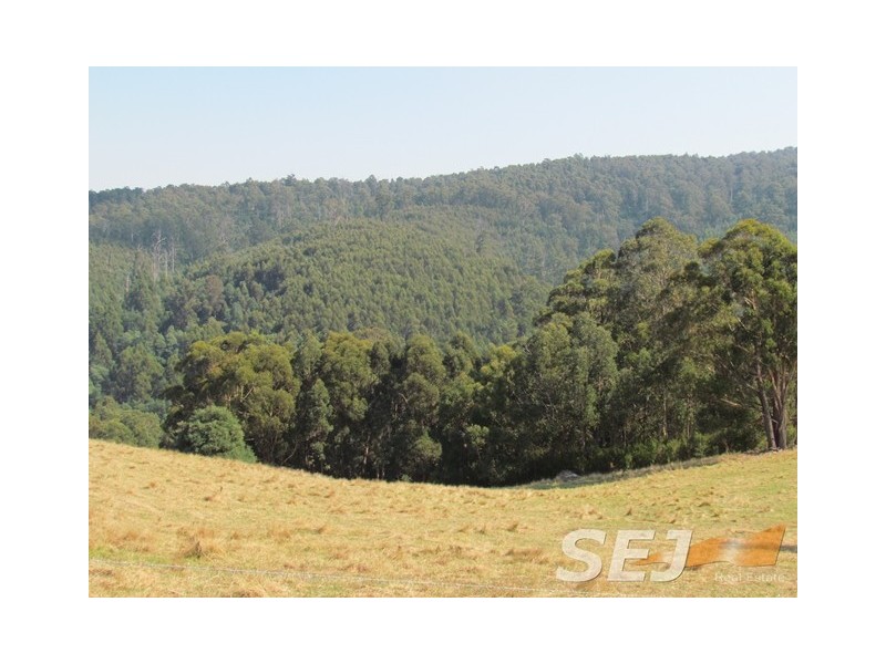 46 Dick Clark Lane, Jindivick VIC 3818